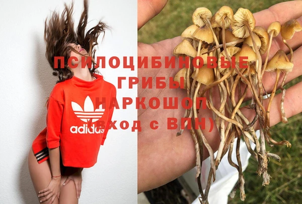 скорость Магас