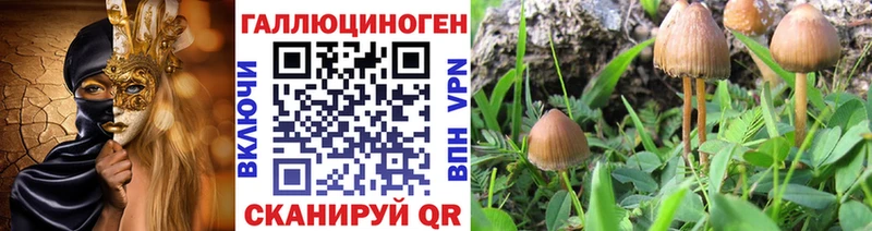 Галлюциногенные грибы мицелий  купить   Магадан 
