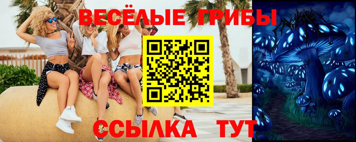 Магадан  закладки  Вход с VPN  Галлюциногенные грибы Psilocybine cubensis 
