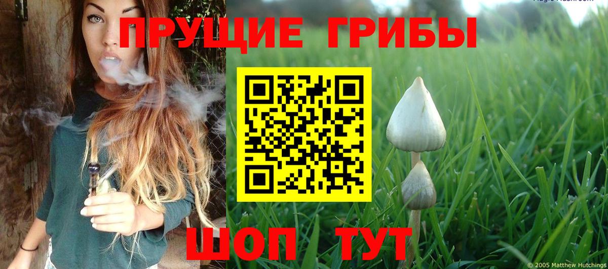 Псилоцибиновые грибы Psilocybine cubensis Магадан